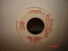 FABULOUS GARAGE shaker 45 by JIMMY RABBIT & THE KARATS 