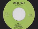 '66 Illinois Kiddy Punk COBRAS Try/Good Bye MILKY WAY 