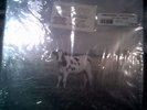 Pink Floyd The Dark Side of the Moo Cud 382 lp in shrin