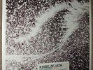 KINGS OF LEON-USE SOMEBODY-LIMITED EDITION-2008 VINYL 7
