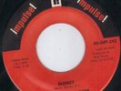 IMPULSE BLUES MOD R&B ROCKER  - JOHN LEE HOOKER - MONEY