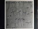 EDWARD KA-SPEL - PUBLIC DISTURBANCE - 2XLP BOX LIM 100 - THE LEGENDARY PINK DOTS