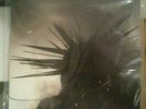 Sunn O))) Agharthi + 7