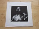 Muddy Waters After the Rain LP Psych Fuzz Funk Stepney
