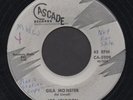 JOE JOHNSON Gila Monster RARE R&B Rocker LISTEN