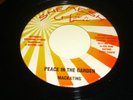 PEACE IN THE GARDEN - MACKATING - RARE UK ROOTS - 7
