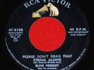 Elvis 