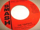 the TEMPESTS 