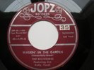 The Belvederes on Jopz 1771-VG++ rare 45-Walkin' In The Garden/Buona Sera