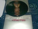 system of a down .hypnotize and mezmerize picture lp