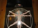 LEEWAY -Born to Expire 12
