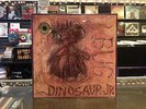 Dinosaur Jr 