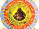 Pedro Santos Krishnanda Brazil LP grooves Breaks Psych  MINT/MINT