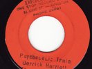 DERRICK HARRIOTT psychedelic train 7