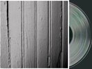 BEACH FOSSILS SIGNED NEW LP LTD 600 SILKSCREENED OOP Washed Out Wild Nothing S/T