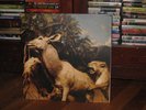 Interpol Our Love To Admire Vinyl LP RARE Turn On The Bright Lights 1st pressing