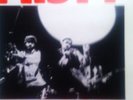 MISTY IN ROOTS-LIVE AT EUROVISION 79 -LABEL PEOPLE UNITE