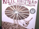 Neil Halstead 
