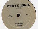 JACKIE ROBINSON pussyfooter / JOHN DAVIS i can't stop DISCO MASTERPIECE 12