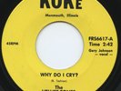 Rare Garage 45 - The Velvet-Tones / The Remains - Why Do I Cry? - LISTEN