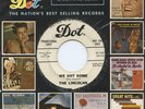 HEAR - Rare Garage 45 - The Lincolns - We Got Some - Promo