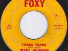 MARY JOHNSON These Tears / Lost Love R&B SOUL 45 on FOXY 001