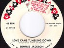 DIMPLES JACKSON Love Came Tumbling Down MOD POPCORN R&B 45 on GARDENA 114