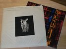 SOVIET FRANCE   -   misfits, loony tunes and squalid criminals  *  Zoviet France