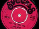 SUCCESS / JOHN HOLT - FAT GIRL, SEXY GIRL / 1970