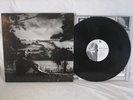 NORMIL HAWAIIANS What's Going On LP Illuminated Records UK Orig