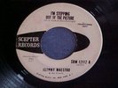 Johnny Maestro/I'm Stepping Out Of The Picture/Scepter/DJ/VG
