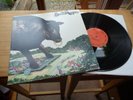 BULL ANGUS SAME LP IN 1971 US PROGRESSIVE TOP RARE