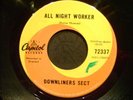 DOWNLINERS SECT RARE IRISH FUZZ BEAT BAND 45 ALL NIGHT