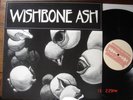 WISHBONE ASH - Lorelive Date (rar)