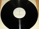 FOCUS CON PROBY STUNNING & VERY RARE 1977 DUTCH ALBUM WHITE LABEL TEST PRESSING