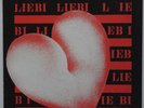 NDT - LIEBI LIEBI - SUPER RARE SWISS PUNK - MINT