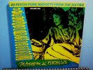 garage comp  MAYHEM & PSYCHOSIS Vol. 2  LP  Rain  Sparkles  Calico Wall etc