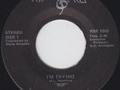 Rare 70s Soul 45 - K.L. Hamilton & RIP 