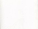 Neil Young, Living With War - In The Beginning LP Test Pressing SS
