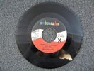 THE LOVED ONES RARE 60s GARAGE PUNK PSYCH 45 SURPRISE SURPRISE Ambassador 212
