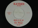 SHAGS garage rock 45 BREATHE IN MY EAR / EASY STREET   M-  KAYDEN