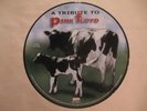 A Tribute to Pink Floyd picture disc
