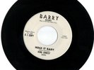 NORTHERN SOUL/FUNK 45 RECORD KING ERNEST WHITE BARRY 1005  DJ COPY