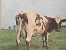 PINK FLOYD atom heart mother LP 5 trk original with no emi box label design in g