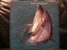 Joe Lee Wilson - Hey Look At You Japan only issue Spiritual Jazz RARE