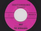 Rare 2-Sided White Doowop NEWMARKS Why/Goody Goody CHATTAHOOCHEE 627 Hear Both