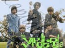 60S R/B MOD BEAT COLUMBIA THE YARDBIRDS SHAPE OF THINGS PICTURE SLEEVE