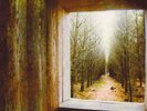 Bon Iver - For Emma, RARE 7
