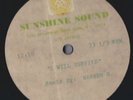 Gloria Gaynor Survive Acetate Warren G Remix 12:10 1Sided 12