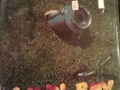 PHISH lawn boy LP rare, original, in shrink wrap